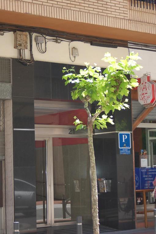 Pension Cinco Villas Λογκρόνο Εξωτερικό φωτογραφία